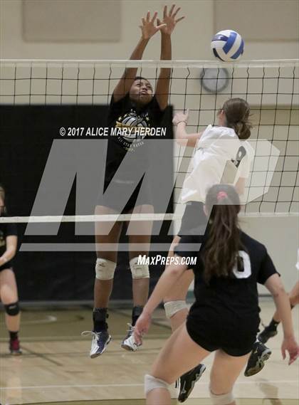 Thumbnail 1 in Senior All-Star Match photogallery.