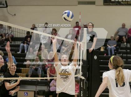 Thumbnail 1 in Senior All-Star Match photogallery.