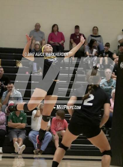 Thumbnail 2 in Senior All-Star Match photogallery.
