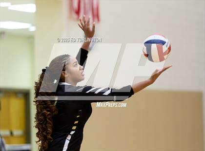 Thumbnail 1 in Lassiter vs. Sprayberry photogallery.