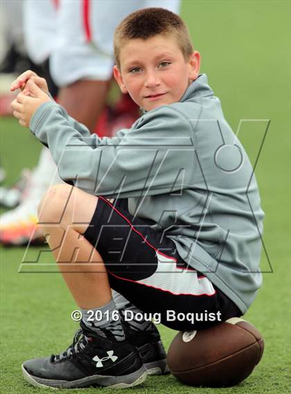 Thumbnail 1 in Whitmer @ Lima photogallery.