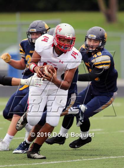Thumbnail 2 in Whitmer @ Lima photogallery.