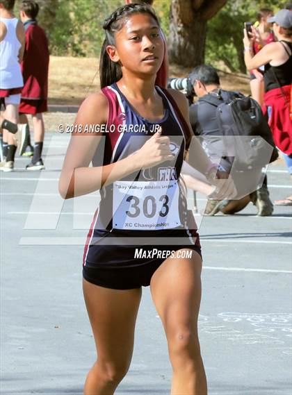 Thumbnail 2 in BVAL Girls Cross Country Championship photogallery.