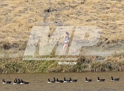 Thumbnail 1 in BVAL Girls Cross Country Championship photogallery.