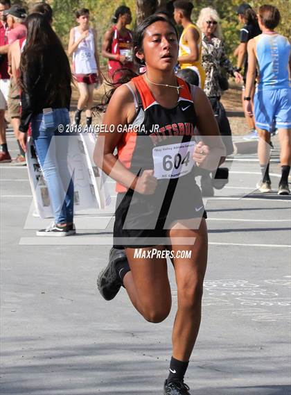 Thumbnail 1 in BVAL Girls Cross Country Championship photogallery.