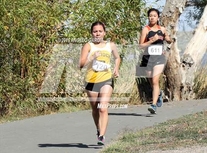 Thumbnail 3 in BVAL Girls Cross Country Championship photogallery.