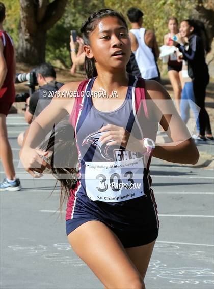 Thumbnail 3 in BVAL Girls Cross Country Championship photogallery.
