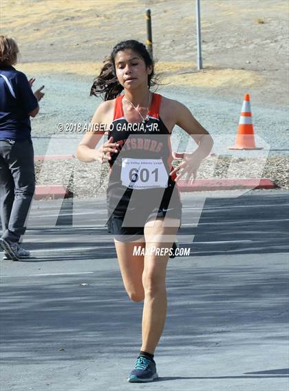Thumbnail 1 in BVAL Girls Cross Country Championship photogallery.