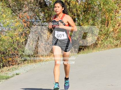 Thumbnail 3 in BVAL Girls Cross Country Championship photogallery.