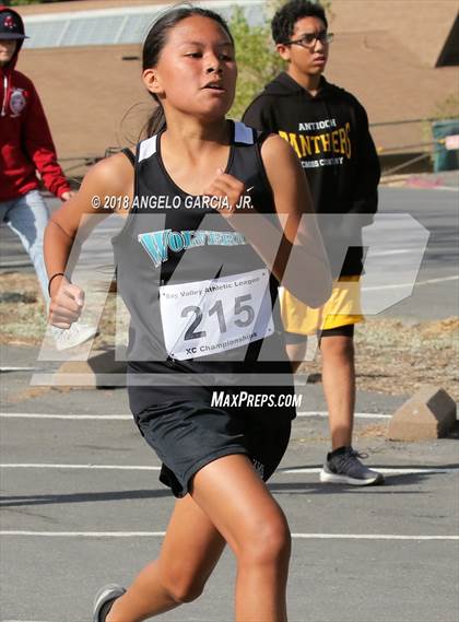 Thumbnail 3 in BVAL Girls Cross Country Championship photogallery.
