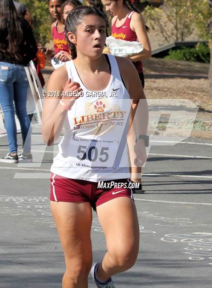 Thumbnail 2 in BVAL Girls Cross Country Championship photogallery.