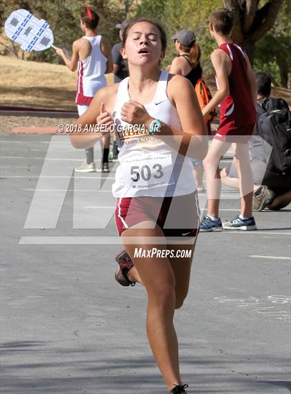 Thumbnail 1 in BVAL Girls Cross Country Championship photogallery.