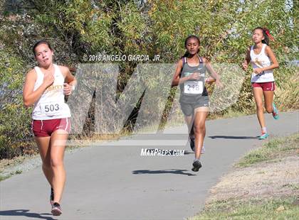 Thumbnail 1 in BVAL Girls Cross Country Championship photogallery.