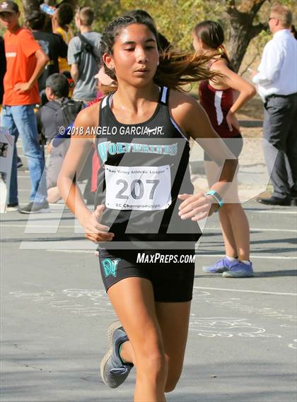 Thumbnail 3 in BVAL Girls Cross Country Championship photogallery.