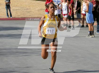 Thumbnail 3 in BVAL Girls Cross Country Championship photogallery.