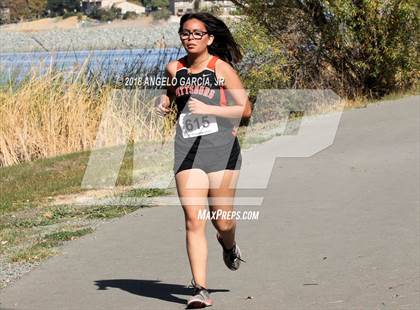 Thumbnail 3 in BVAL Girls Cross Country Championship photogallery.