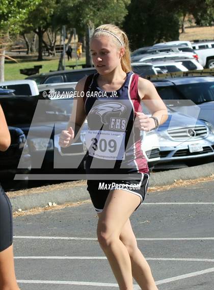 Thumbnail 2 in BVAL Girls Cross Country Championship photogallery.