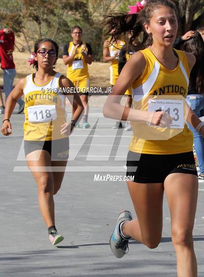 Thumbnail 3 in BVAL Girls Cross Country Championship photogallery.