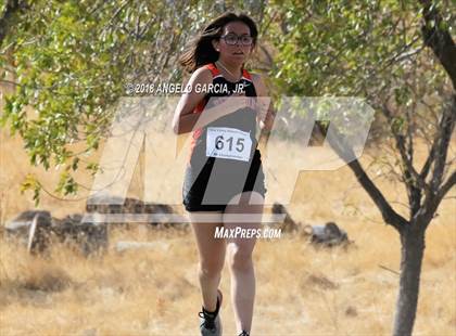 Thumbnail 1 in BVAL Girls Cross Country Championship photogallery.