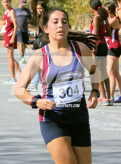 Thumbnail 3 in BVAL Girls Cross Country Championship photogallery.