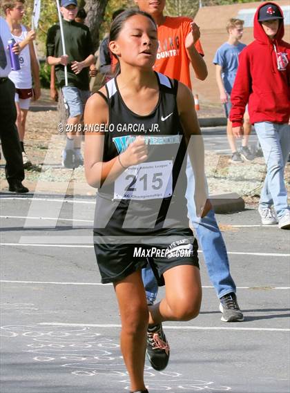 Thumbnail 2 in BVAL Girls Cross Country Championship photogallery.