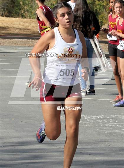 Thumbnail 1 in BVAL Girls Cross Country Championship photogallery.