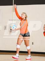 Photo from the gallery "Sterling Heights Stevenson @ Utica"
