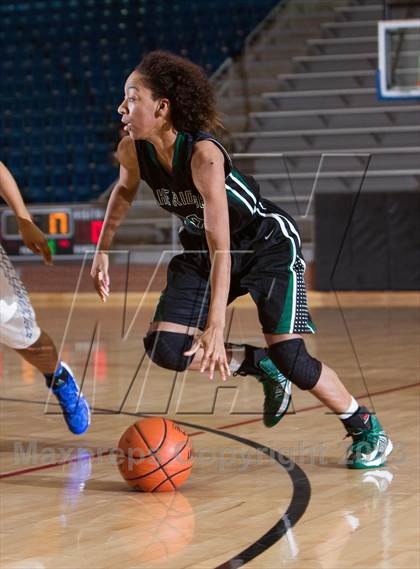 Thumbnail 3 in Lake Ridge @ Mansfield Summit photogallery.