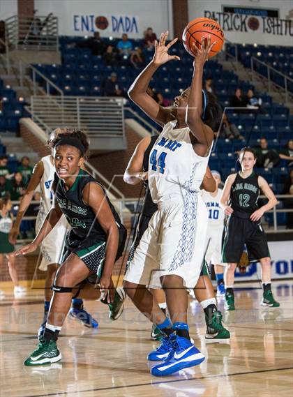 Thumbnail 2 in Lake Ridge @ Mansfield Summit photogallery.