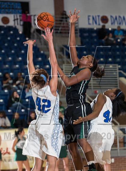 Thumbnail 2 in Lake Ridge @ Mansfield Summit photogallery.
