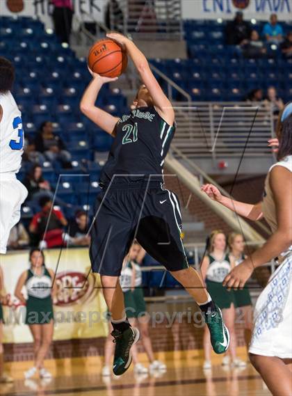 Thumbnail 2 in Lake Ridge @ Mansfield Summit photogallery.