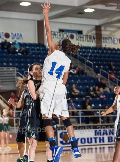 Thumbnail 1 in Lake Ridge @ Mansfield Summit photogallery.