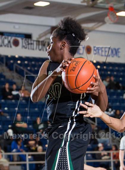 Thumbnail 2 in Lake Ridge @ Mansfield Summit photogallery.