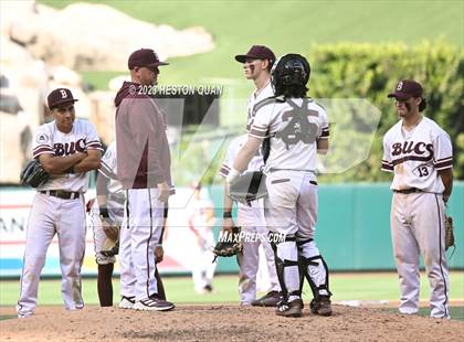Thumbnail 1 in Mayfair vs. Bellflower (Halo Classic) photogallery.
