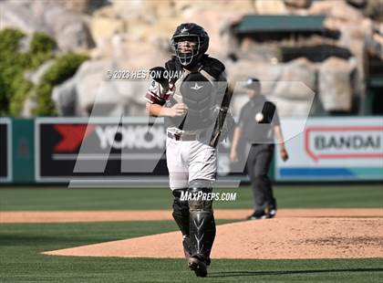 Thumbnail 3 in Mayfair vs. Bellflower (Halo Classic) photogallery.