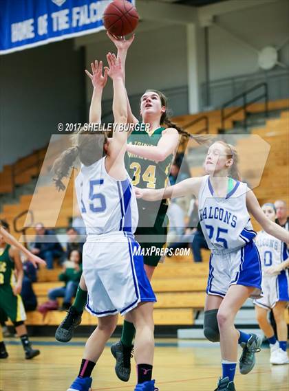 Thumbnail 3 in Trinity Catholic @ Ludlowe photogallery.