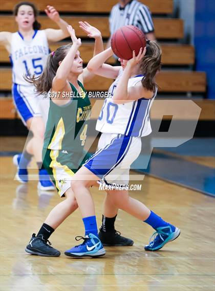 Thumbnail 2 in Trinity Catholic @ Ludlowe photogallery.