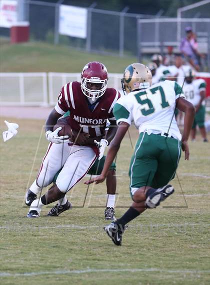 Thumbnail 3 in Frayser @ Munford photogallery.