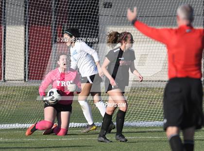 Thumbnail 1 in Villa Park @ Troy photogallery.