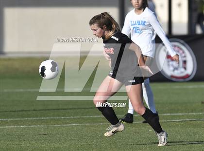 Thumbnail 2 in Villa Park @ Troy photogallery.