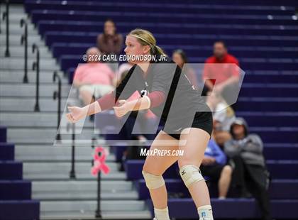 Thumbnail 2 in Riverdale @ Siegel photogallery.