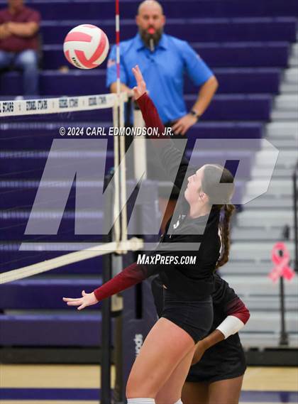 Thumbnail 1 in Riverdale @ Siegel photogallery.