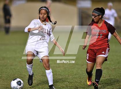 Thumbnail 3 in Wiregrass Ranch @ Pasco photogallery.