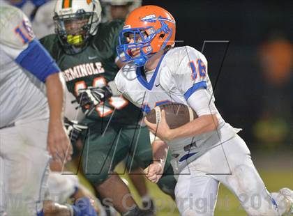 Thumbnail 3 in Osceola @ Seminole photogallery.