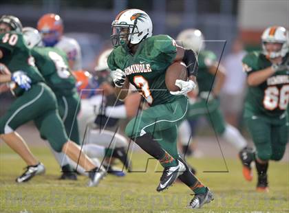 Thumbnail 3 in Osceola @ Seminole photogallery.