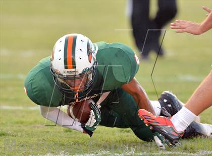 Thumbnail 1 in Osceola @ Seminole photogallery.