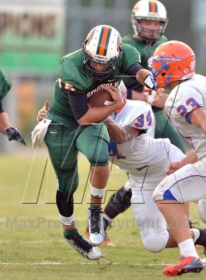 Thumbnail 1 in Osceola @ Seminole photogallery.