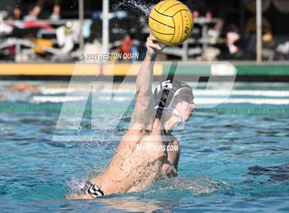 Thumbnail 2 in Brea Olinda @ Canyon photogallery.