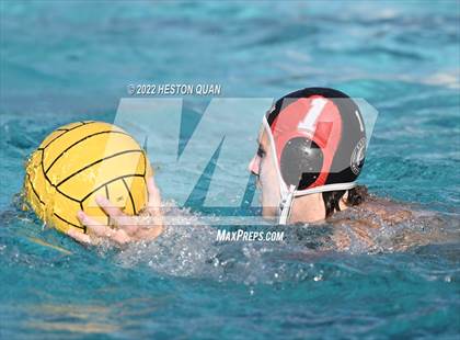 Thumbnail 3 in Brea Olinda @ Canyon photogallery.