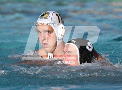 Thumbnail 2 in Brea Olinda @ Canyon photogallery.